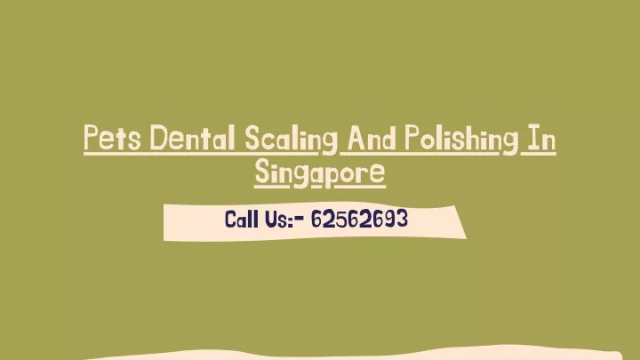pets dental scaling and polishing in singapore