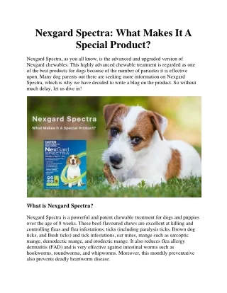 Nexgard Spectra: What Makes It A Special Product?