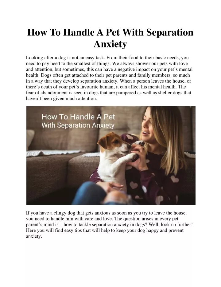 how to handle a pet with separation anxiety