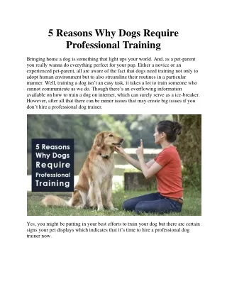 5 Reasons Why Dogs Require Professional Training