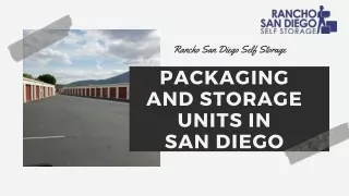 rancho san diego self storage