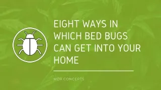 Eight Ways in Which Bed Bugs Can Get into Your Home