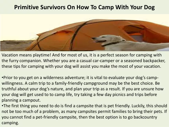 primitive survivors on how to camp with your dog