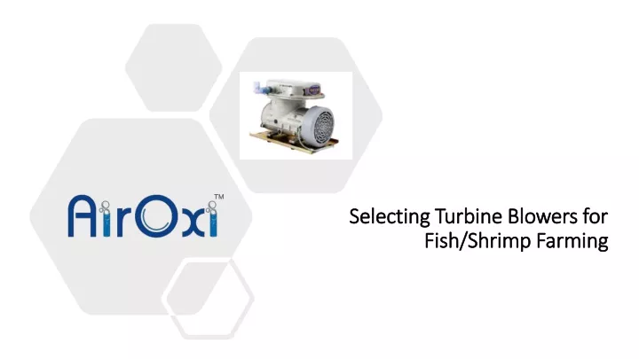 selecting turbine blowers for fish shrimp farming