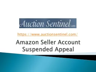 Amazon Seller Account Suspended Appeal