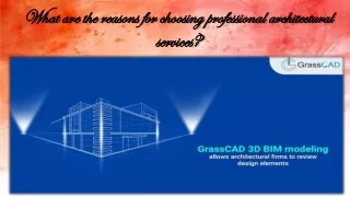 what are the reasons for choosing professional