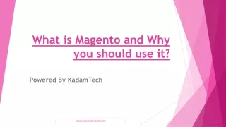 what is magento and why you should use it