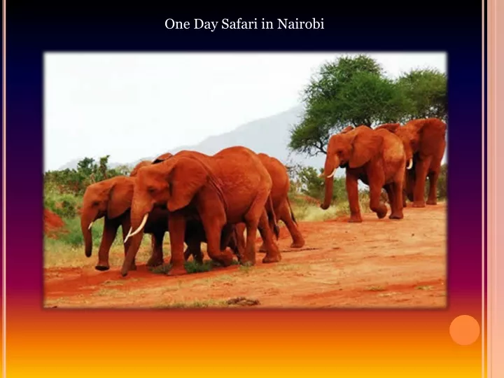 one day safari in nairobi