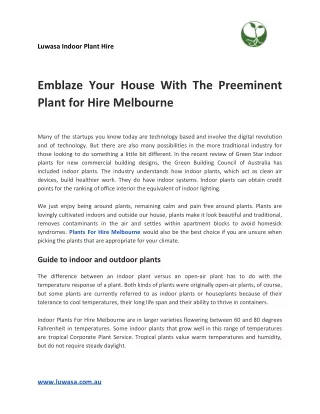 Emblaze Your House With The Preeminent Plant for Hire Melbourne