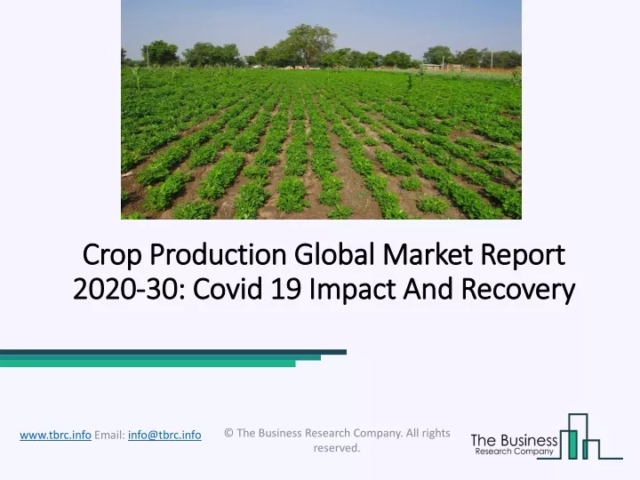 crop production global market report 2020 30 covid 19 impact and recovery