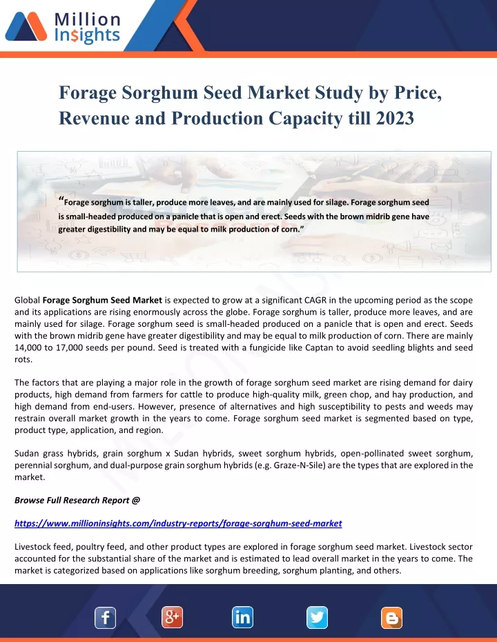 forage sorghum seed market study by price revenue