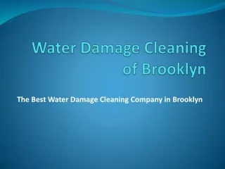 The Best Water Damage Cleaning Company in Brooklyn