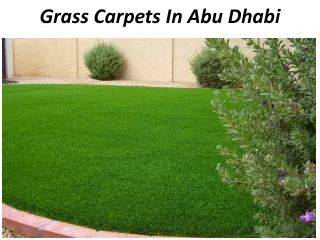 grass carpets in abu dhabi