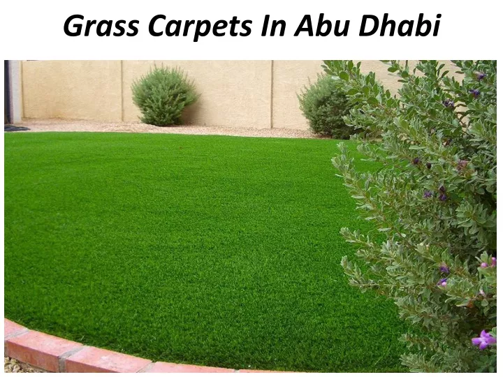 grass carpets in abu dhabi