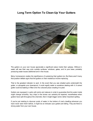 long term option to clean up your gutters