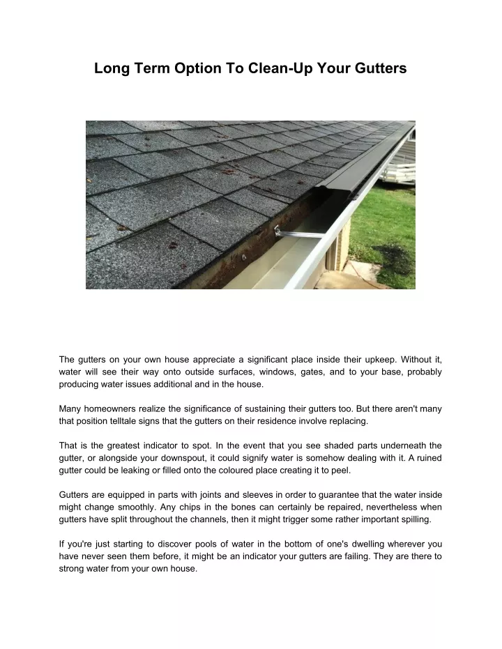 long term option to clean up your gutters