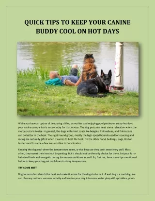 quick tips to keep your canine buddy cool
