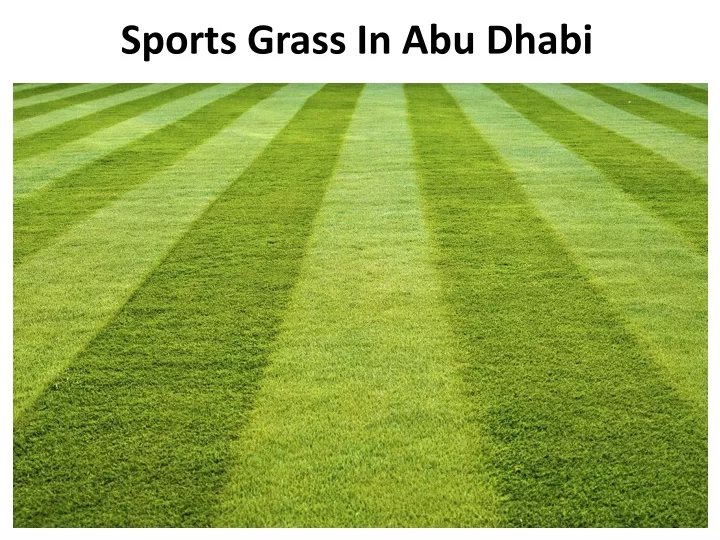 sports grass in abu dhabi