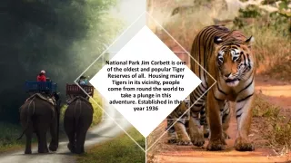 Weekend Getaways in Jim Corbett | Resorts in Jim Corbett