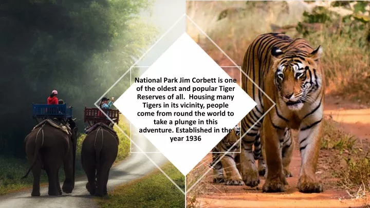 national park jim corbett is one of the oldest