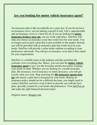 are you looking for motor vehicle insurance agent