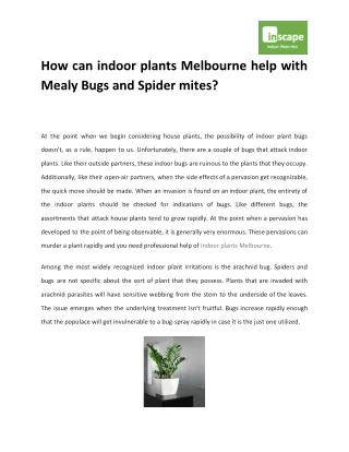 How can indoor plants Melbourne help with Mealy Bugs and Spider mites?