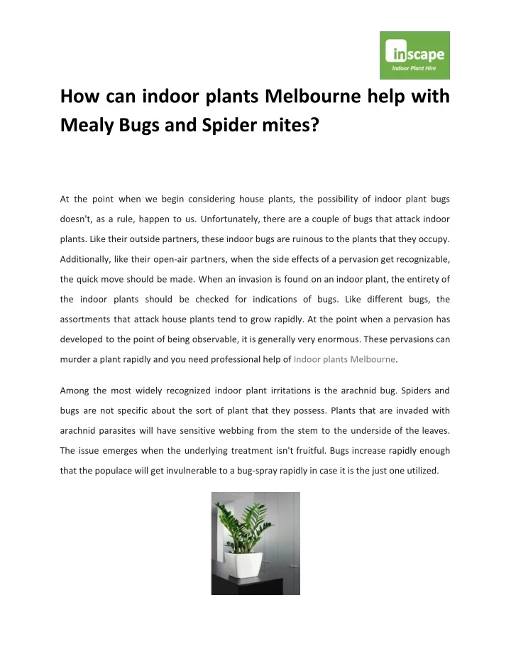 how can indoor plants melbourne help with mealy