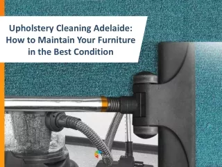 Upholstery Cleaning Adelaide: How to Maintain Your Furniture in the Best Condition
