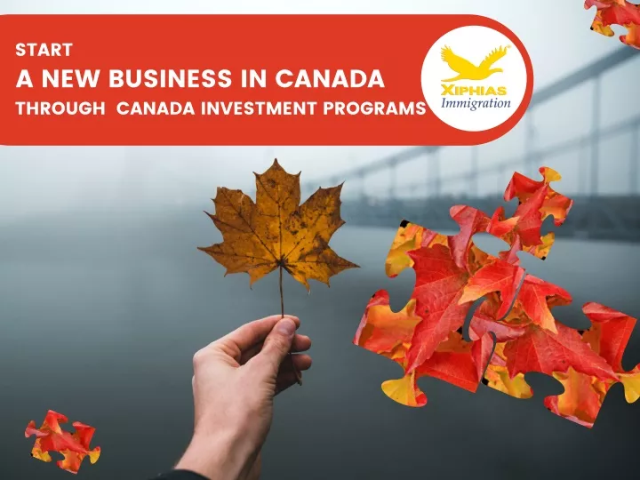 start a new business in canada