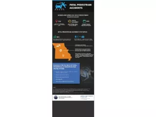 Fatal Pedestrian Accident Statistics - Infographic