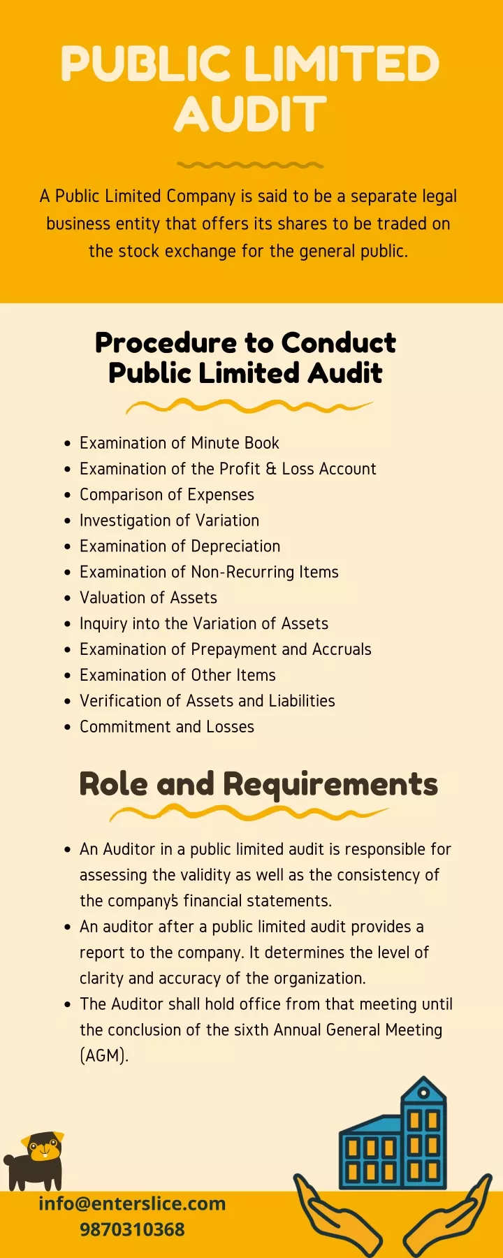 public limited audit