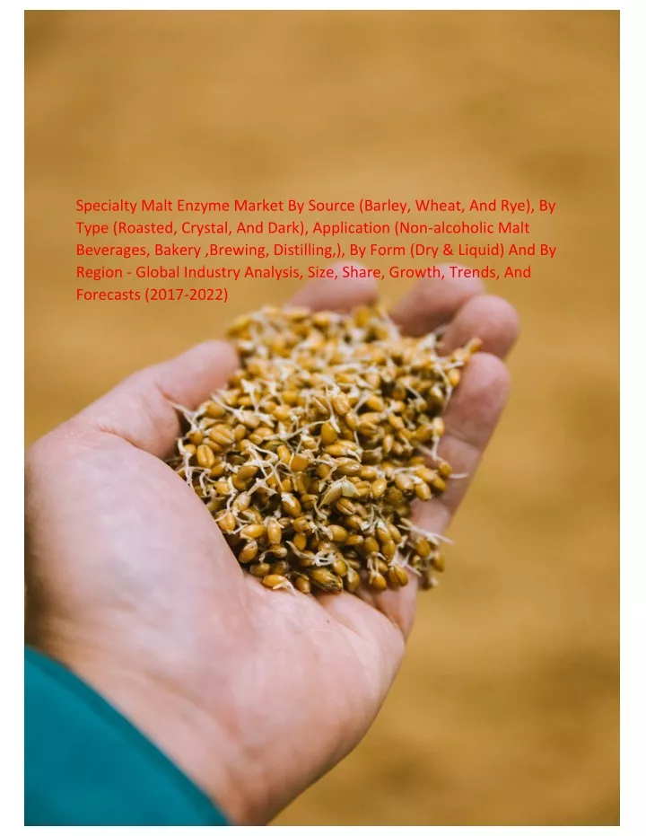 specialty malt enzyme market by source barley