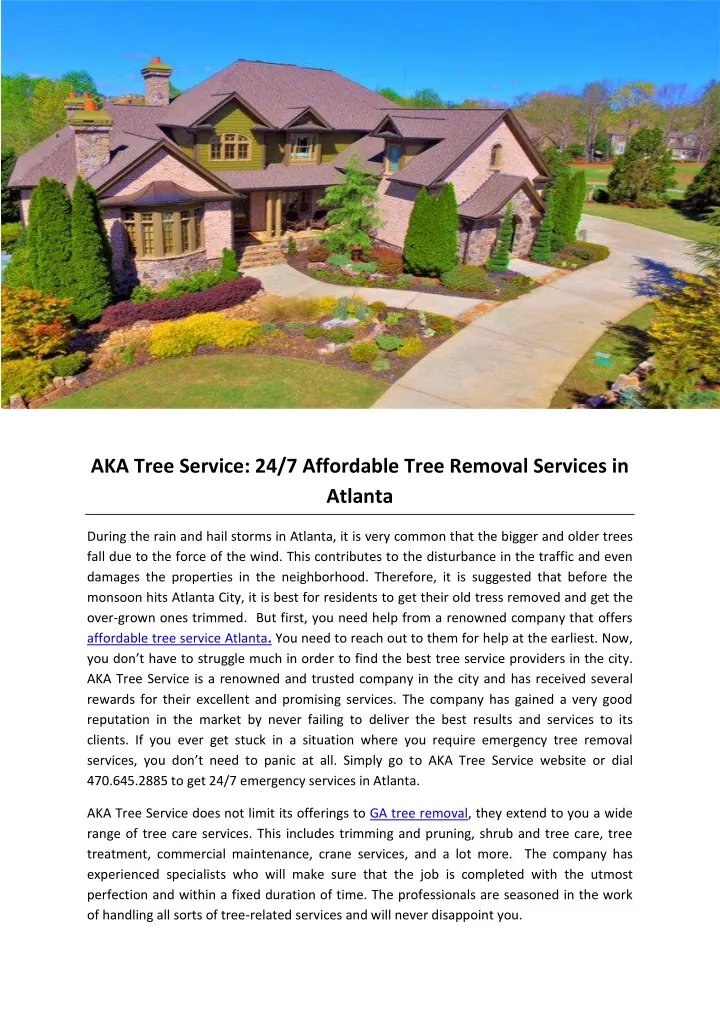 aka tree service 24 7 affordable tree removal