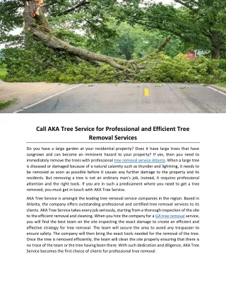 call aka tree service for professional