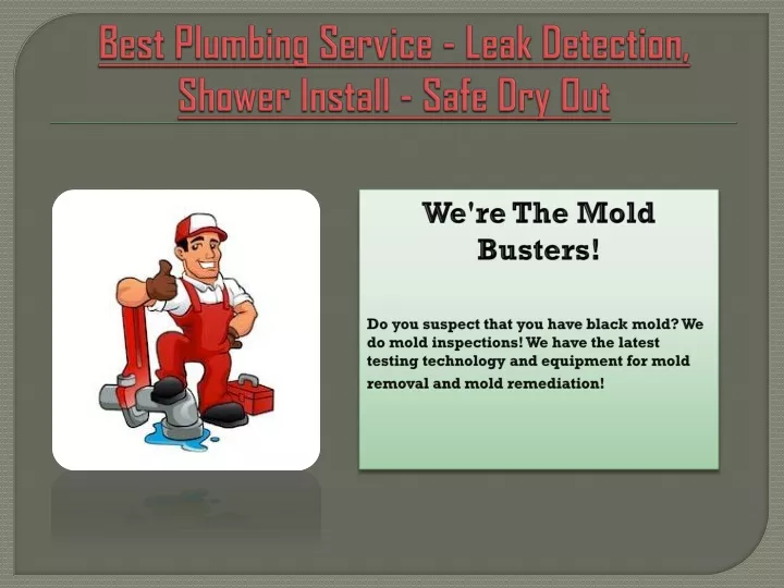 best plumbing service leak detection shower install safe dry out