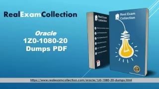 1z0-1080-20 Exam Questions PDF - Oracle 1z0-1080-20 Top Dumps