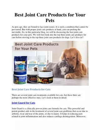 Best Joint Care Products for Your Pets