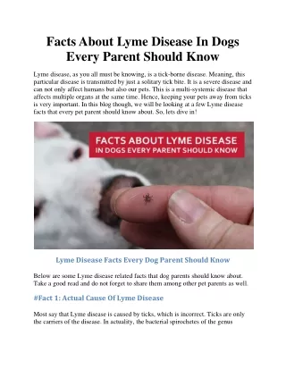 Facts About Lyme Disease In Dogs Every Parent Should Know