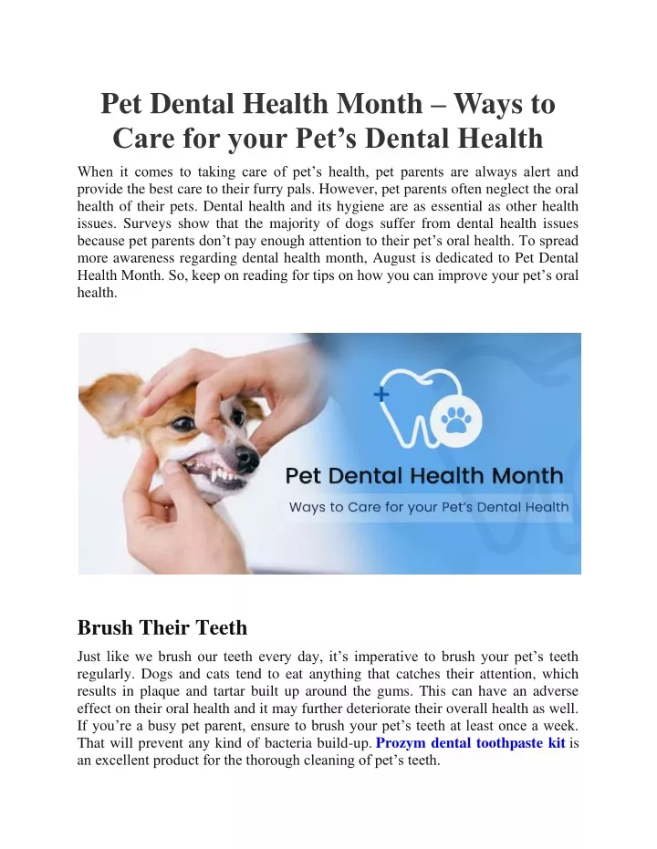 pet dental health month ways to care for your