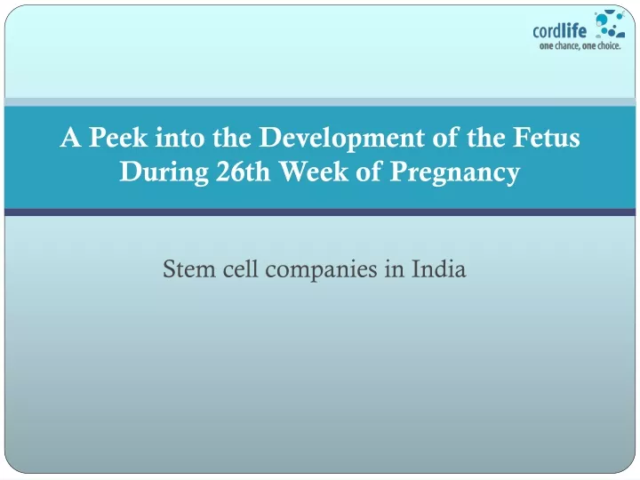 a peek into the development of the fetus during 26th week of pregnancy