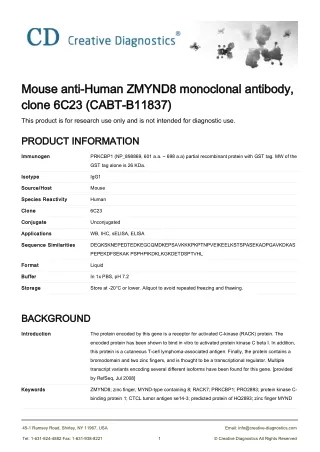 mouse anti human zmynd8 monoclonal antibody mouse