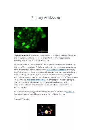 primary antibodies