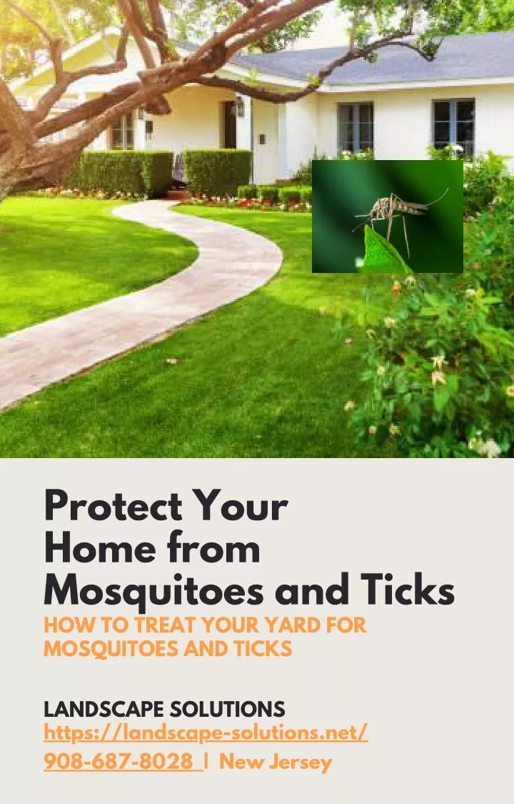 protect your home from mosquitoes and ticks