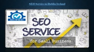 SEO Service in Dublin Ireland