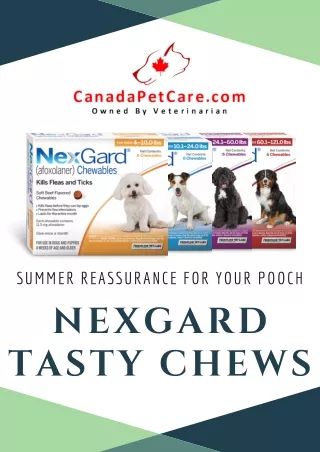 Summer Reassurance for Your Pooch - Nexgard Tasty Chews