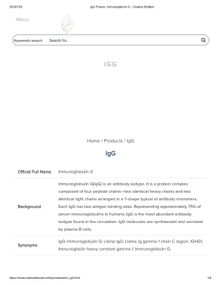 2020 7 29 igg protein immunoglobulin g keywords