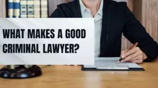 What Makes a Good Criminal Lawyer