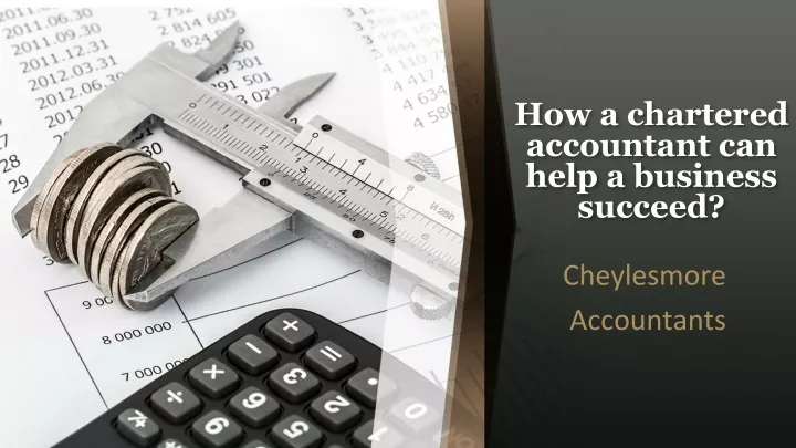 how a chartered accountant can help a business succeed