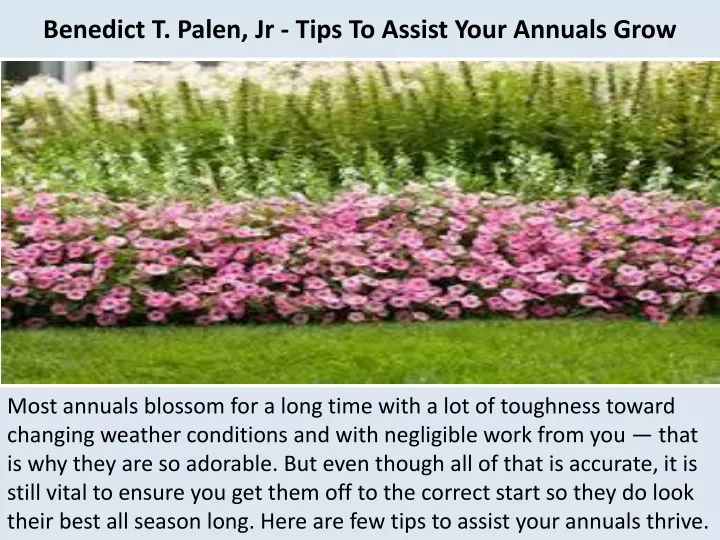 benedict t palen jr tips to assist your annuals grow