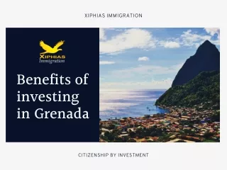 xiphias immigration